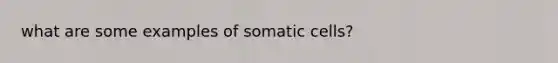 what are some examples of somatic cells?