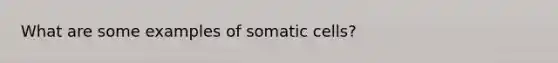 What are some examples of somatic cells?