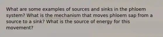 What are some examples of sources and sinks in the phloem system? What is the mechanism that moves phloem sap from a source to a sink? What is the source of energy for this movement?