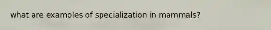 what are examples of specialization in mammals?