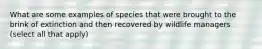 What are some examples of species that were brought to the brink of extinction and then recovered by wildlife managers (select all that apply)