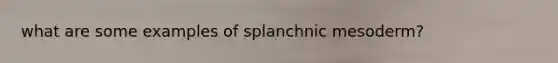 what are some examples of splanchnic mesoderm?