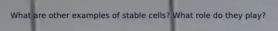 What are other examples of stable cells? What role do they play?