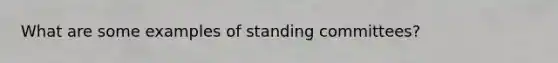 What are some examples of standing committees?