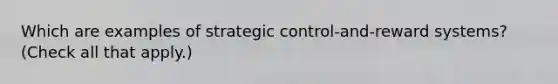 Which are examples of strategic control-and-reward systems? (Check all that apply.)