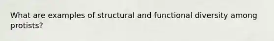 What are examples of structural and functional diversity among protists?