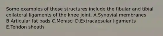 Some examples of these structures include the fibular and tibial collateral ligaments of the knee joint. A.Synovial membranes B.Articular fat pads C.Menisci D.Extracapsular ligaments E.Tendon sheath