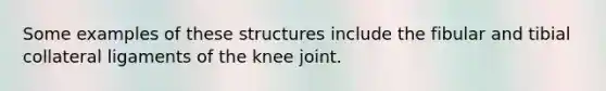 Some examples of these structures include the fibular and tibial collateral ligaments of the knee joint.