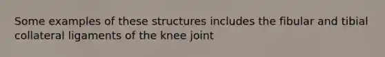 Some examples of these structures includes the fibular and tibial collateral ligaments of the knee joint