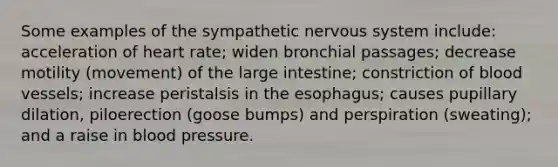 Some examples of the sympathetic nervous system include: acceleration of heart rate; widen bronchial passages; decrease motility (movement) of the large intestine; constriction of blood vessels; increase peristalsis in the esophagus; causes pupillary dilation, piloerection (goose bumps) and perspiration (sweating); and a raise in blood pressure.