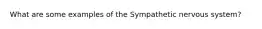 What are some examples of the Sympathetic nervous system?