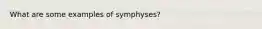 What are some examples of symphyses?