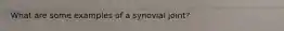 What are some examples of a synovial joint?