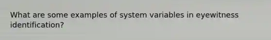 What are some examples of system variables in eyewitness identification?