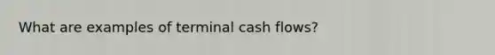 What are examples of terminal cash flows?