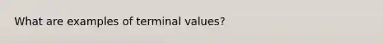 What are examples of terminal values?