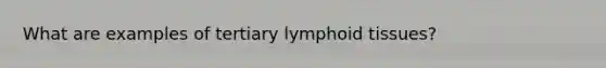 What are examples of tertiary lymphoid tissues?