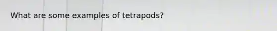 What are some examples of tetrapods?