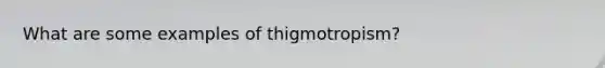 What are some examples of thigmotropism?