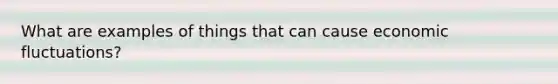 What are examples of things that can cause economic fluctuations?