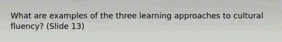 What are examples of the three learning approaches to cultural fluency? (Slide 13)