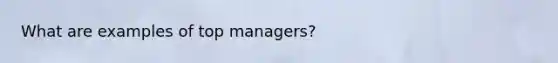 What are examples of top managers?