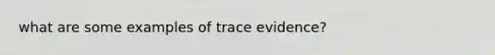 what are some examples of trace evidence?