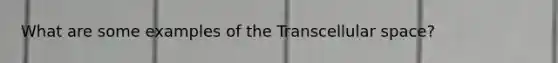 What are some examples of the Transcellular space?