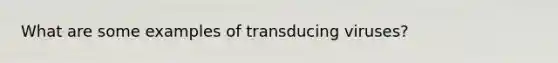 What are some examples of transducing viruses?