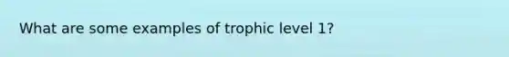 What are some examples of trophic level 1?