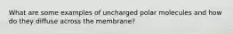 What are some examples of uncharged polar molecules and how do they diffuse across the membrane?