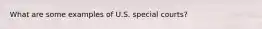 What are some examples of U.S. special courts?