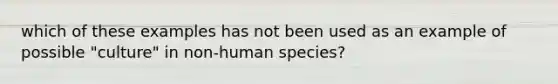 which of these examples has not been used as an example of possible "culture" in non-human species?