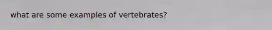 what are some examples of vertebrates?