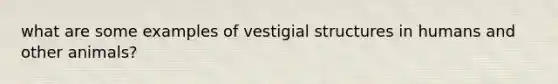 what are some examples of vestigial structures in humans and other animals?