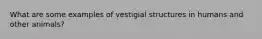 What are some examples of vestigial structures in humans and other animals?