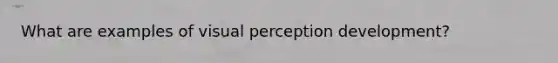 What are examples of visual perception development?