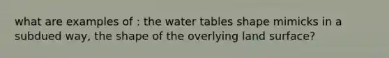 what are examples of : the water tables shape mimicks in a subdued way, the shape of the overlying land surface?