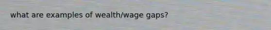 what are examples of wealth/wage gaps?