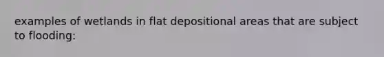 examples of wetlands in flat depositional areas that are subject to flooding: