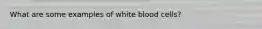 What are some examples of white blood cells?