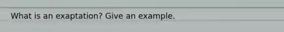 What is an exaptation? Give an example.