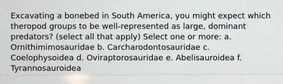 Excavating a bonebed in South America, you might expect which theropod groups to be well-represented as large, dominant predators? (select all that apply) Select one or more: a. Ornithimimosauridae b. Carcharodontosauridae c. Coelophysoidea d. Oviraptorosauridae e. Abelisauroidea f. Tyrannosauroidea