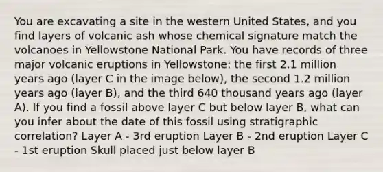 You are excavating a site in the western United States, and you find layers of volcanic ash whose chemical signature match the volcanoes in Yellowstone National Park. You have records of three major volcanic eruptions in Yellowstone: the first 2.1 million years ago (layer C in the image below), the second 1.2 million years ago (layer B), and the third 640 thousand years ago (layer A). If you find a fossil above layer C but below layer B, what can you infer about the date of this fossil using stratigraphic correlation? Layer A - 3rd eruption Layer B - 2nd eruption Layer C - 1st eruption Skull placed just below layer B