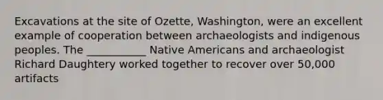 Excavations at the site of Ozette, Washington, were an excellent example of cooperation between archaeologists and indigenous peoples. The ___________ Native Americans and archaeologist Richard Daughtery worked together to recover over 50,000 artifacts