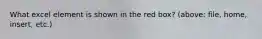 What excel element is shown in the red box? (above: file, home, insert, etc.)