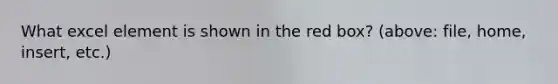 What excel element is shown in the red box? (above: file, home, insert, etc.)