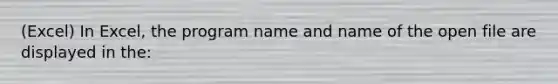 (Excel) In Excel, the program name and name of the open file are displayed in the: