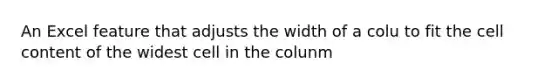 An Excel feature that adjusts the width of a colu to fit the cell content of the widest cell in the colunm