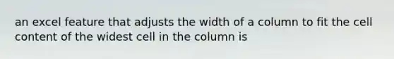 an excel feature that adjusts the width of a column to fit the cell content of the widest cell in the column is